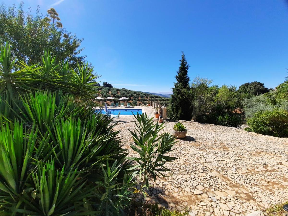 Hacienda La Buena Vida B&B En Appartementen Casita La Bruja Альгаринехо Экстерьер фото